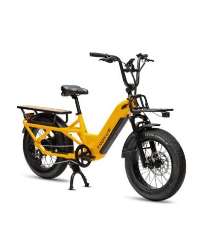 Troxus Lynx Cargo eBike