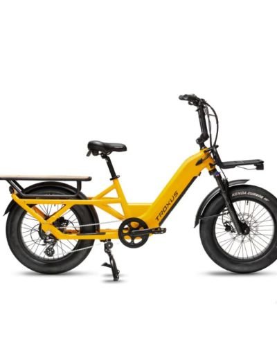 Troxus Lynx Cargo eBike