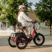 Velotric Tiker