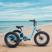 ADDMOTOR Landtan Fat Tire eTrike