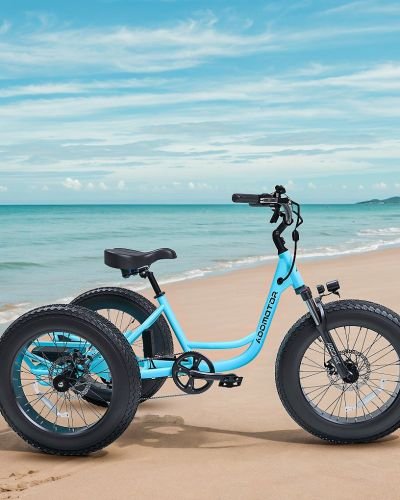 ADDMOTOR Landtan Fat Tire eTrike