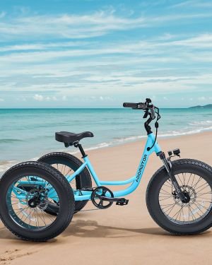 ADDMOTOR Landtan Fat Tire eTrike