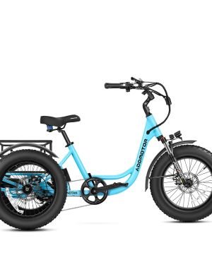 ADDMOTOR Landtan Fat Tire eTrike