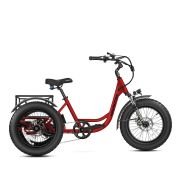 ADDMOTOR Landtan Fat Tire eTrike