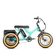 ADDMOTOR Citytan M-315 Folding eTrike