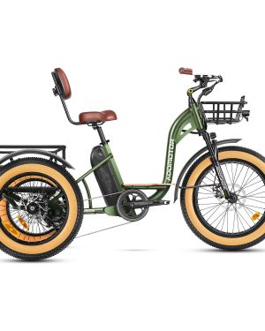 Addmotor Grandtan M-340 Etrike