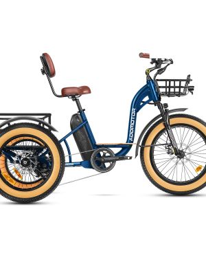 Addmotor Grandtan M-340 Etrike
