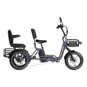 Meet One Pair passenger electric trike in deep sea